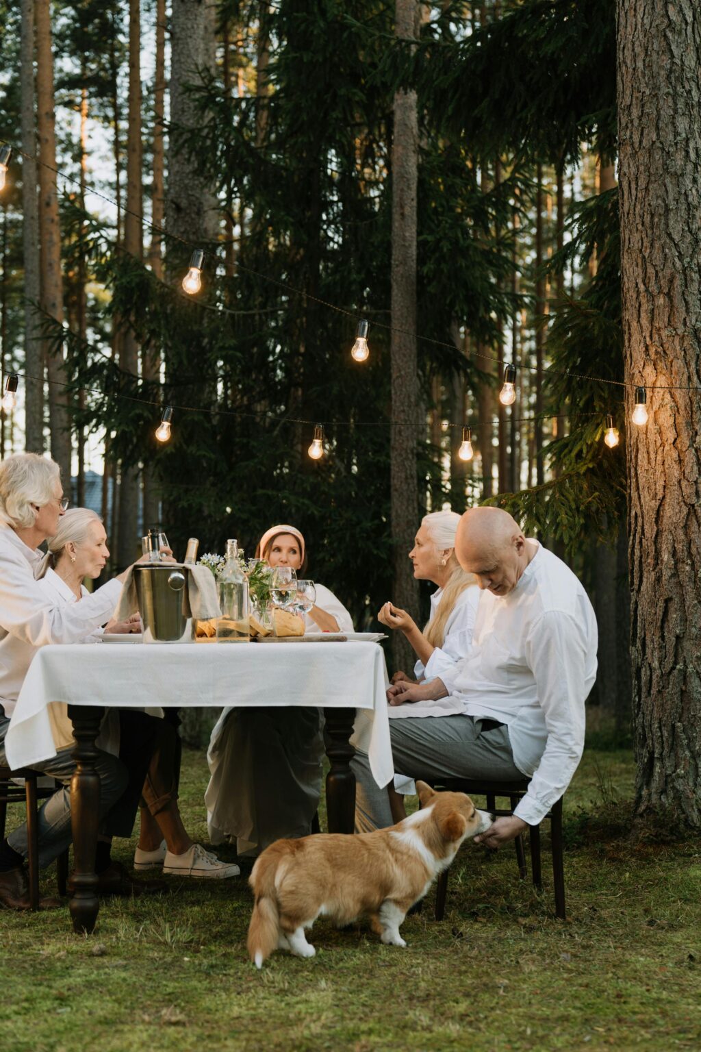 Giving Vine Scholarship. Oregon. Top of Vine Hospitality. Best planning & catering company in Oregon. Catering. Planning. Scholarship Application.